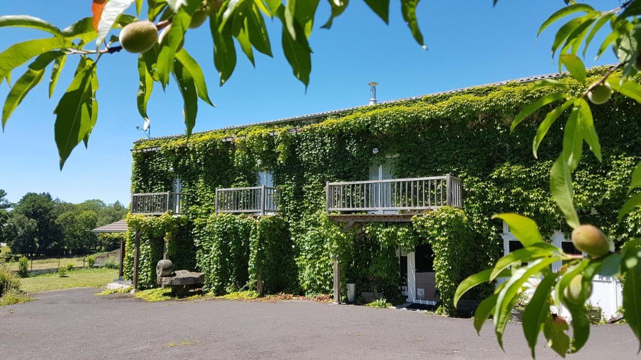 Domaine Des Pecheries Montel-de-Gelat Exterior photo